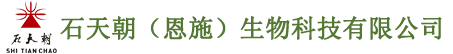 石天朝（恩施）生物科技有限公司