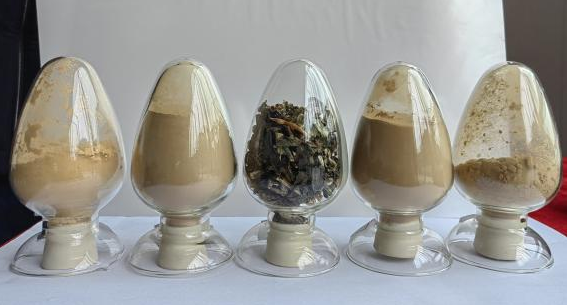 堇叶碎米荠提取物